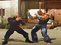 ເກມ The Perfect Fighter
