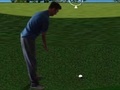 ເກມ Flash Golf 3D