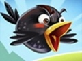 ເກມ Crazy Birds 2