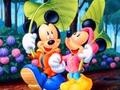 ເກມ Mickey Love-HS