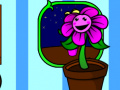 ເກມ My pocket plant 