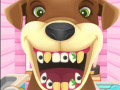 ເກມ Animal Dentist 