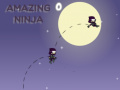 ເກມ Amazing Ninja