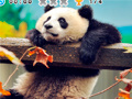 ເກມ Animal Habitats: Find Items