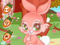 ເກມ Cute Bunny