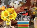 ເກມ Crazy Cat Lady