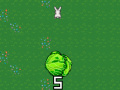 ເກມ Cabbage Run