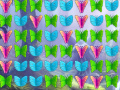 ເກມ Butterfly Collector