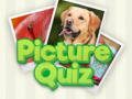 ເກມ 100 Pics
