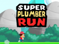 ເກມ Super Plumber Run