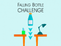 ເກມ Falling Bottle Challenge