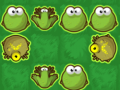 ເກມ Frog Rush