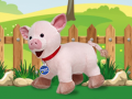 ເກມ Catch The Pig
