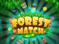 ເກມ Forest Match