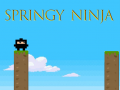 ເກມ Springy Ninja