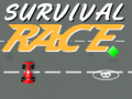 ເກມ Survival Race