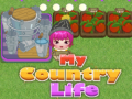 ເກມ My County Life