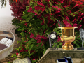 ເກມ The Prize Winning Garden