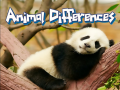 ເກມ Animal Differences 
