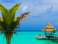 ເກມ Tropical Paradise