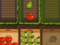 ເກມ Fruit Gardener