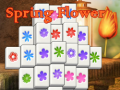 ເກມ Spring Flower