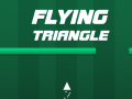 ເກມ Flying Triangle