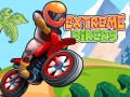 ເກມ Extreme Bikers