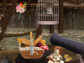 ເກມ Unknown Island