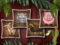 ເກມ Animal Shapes 3