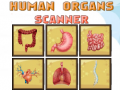ເກມ Human Organs Scanner
