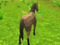 ເກມ Horse Simulator 3D