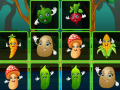 ເກມ Vegetable Cards Match