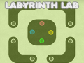 ເກມ Labyrinth Lab