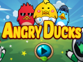 ເກມ Angry Ducks