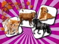 ເກມ Domestic Animal Memory Challenge