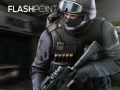 ເກມ Flashpoint