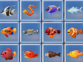 ເກມ Find The Fish