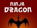 ເກມ Ninja Dragon