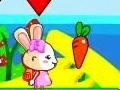 ເກມ Brother and sister rabbits