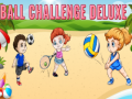 ເກມ Ball Challenge Deluxe