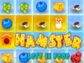 ເກມ Hamster Lost In Food