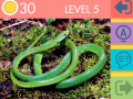 ເກມ 15 Picture Quiz