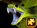 ເກມ Snake Puzzle Challenge