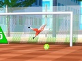 ເກມ Street Freekick 3D