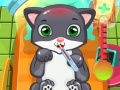 ເກມ Cat Doctor