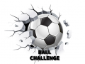 ເກມ Ball Challenge