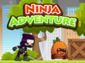 ເກມ Ninja Adventure