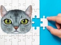 ເກມ Abyssinian Puzzle Challenge