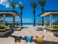 ເກມ Find 100 butterflies